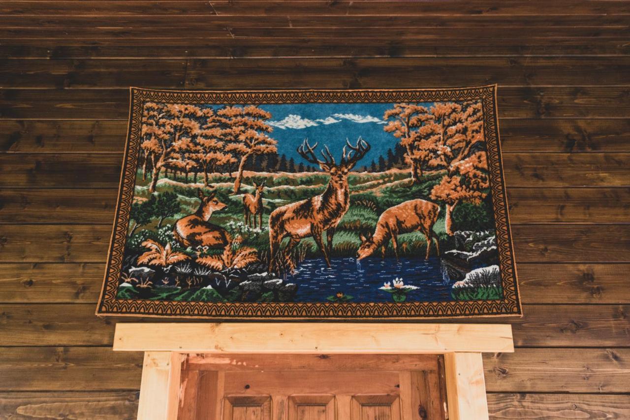 Jarzebinowa - Dom Do Wynajecia Na Podlasiu Luka Kültér fotó