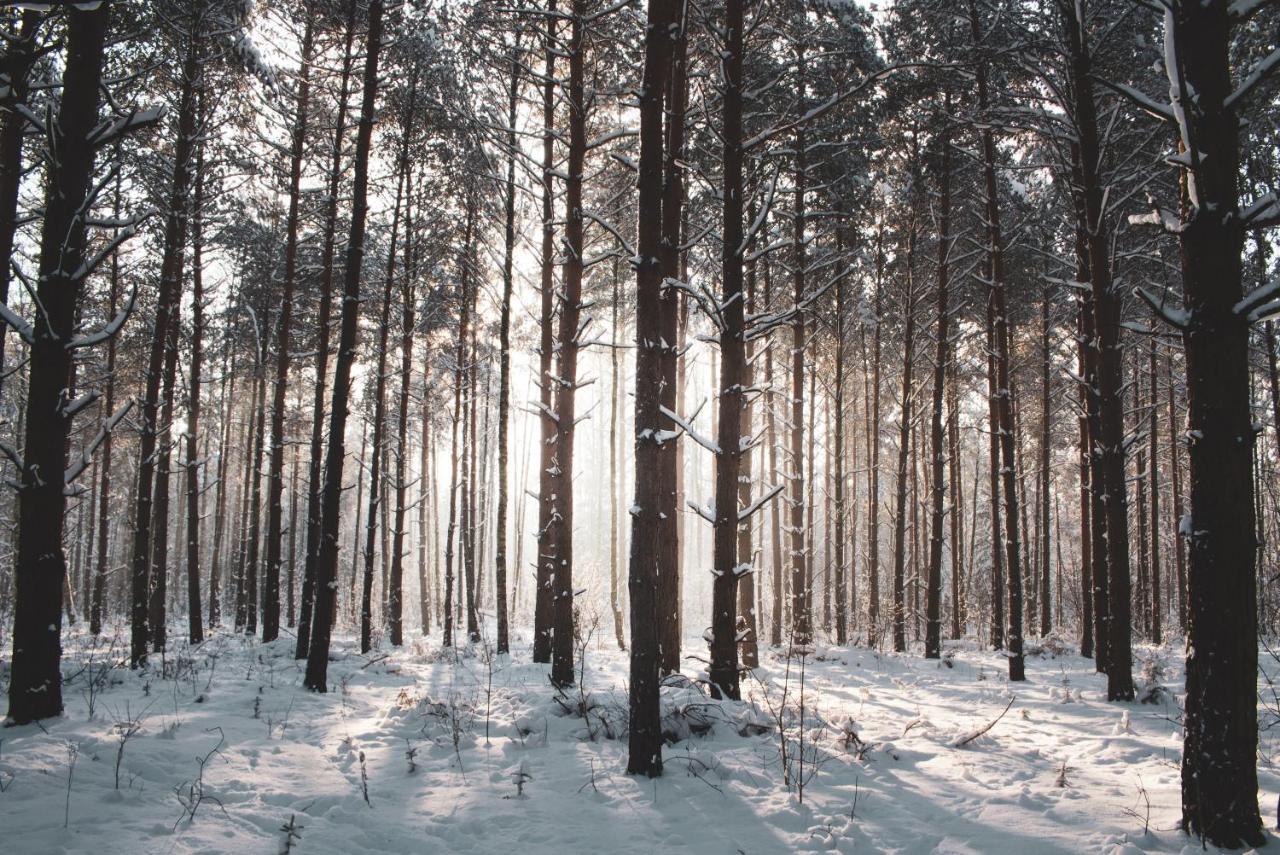 Jarzebinowa - Dom Do Wynajecia Na Podlasiu Luka Kültér fotó