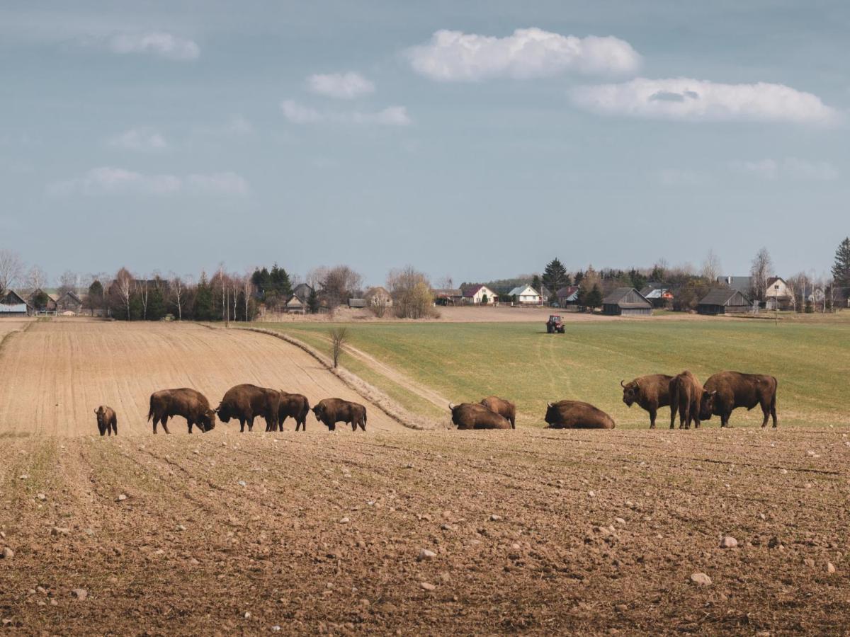 Jarzebinowa - Dom Do Wynajecia Na Podlasiu Luka Kültér fotó